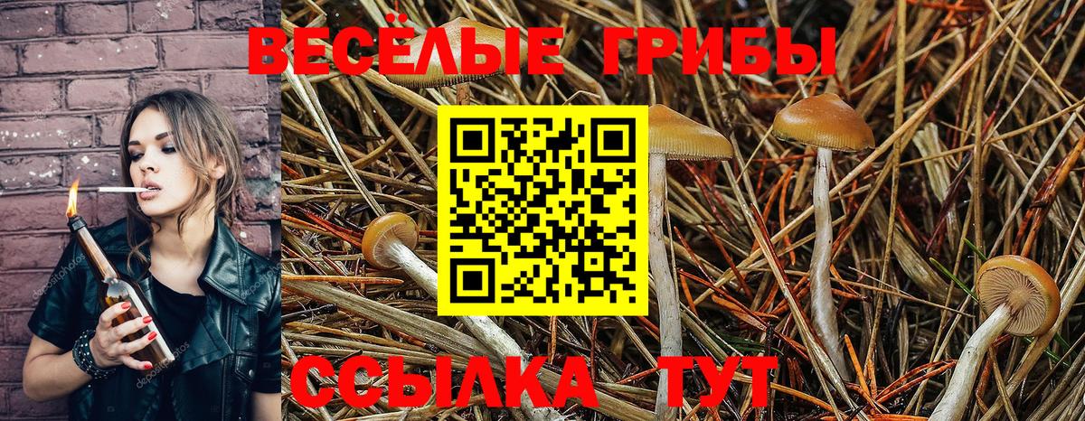 Галлюциногенные грибы мухоморы  Псилоцибиновые грибы GOLDEN TEACHER  Димитровград  Вход с VPN 